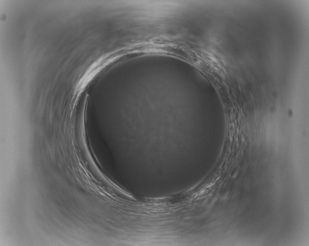 X0000056320295200508261202