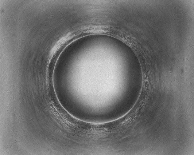 X0000056320296200508261202