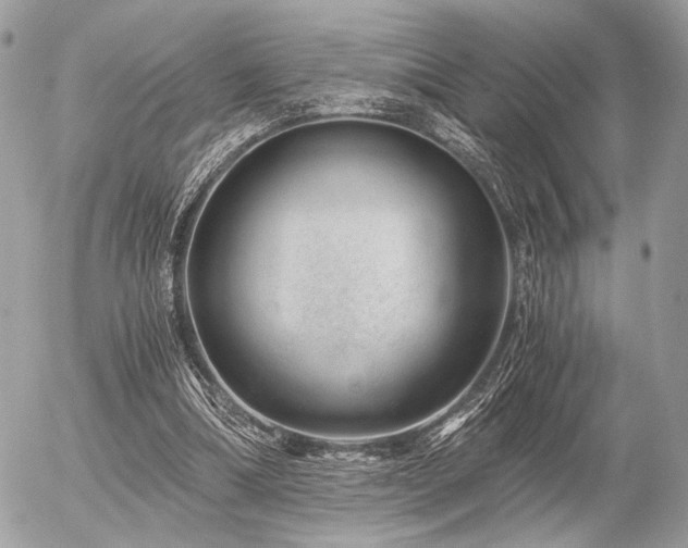 X0000056320298200508261202