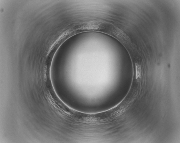 X0000056320300200508261202