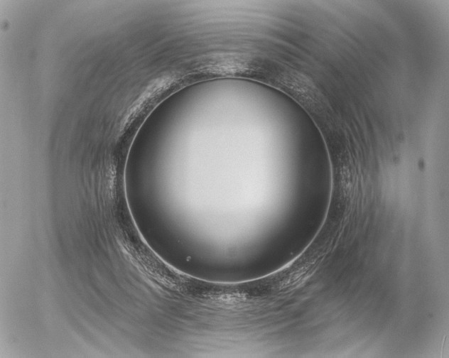 X0000056320304200508261202