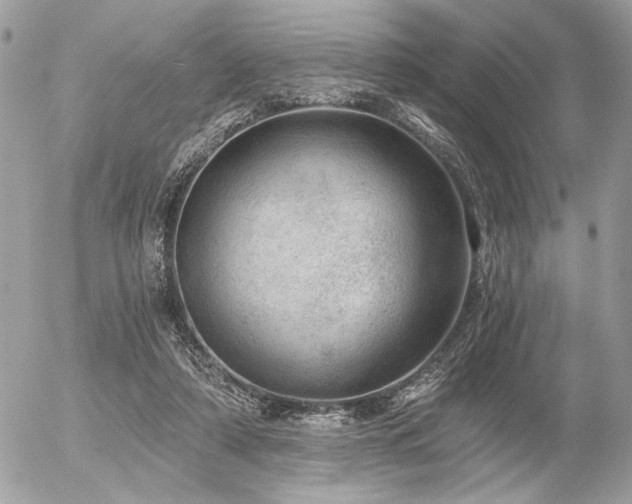 X0000056320306200508261202