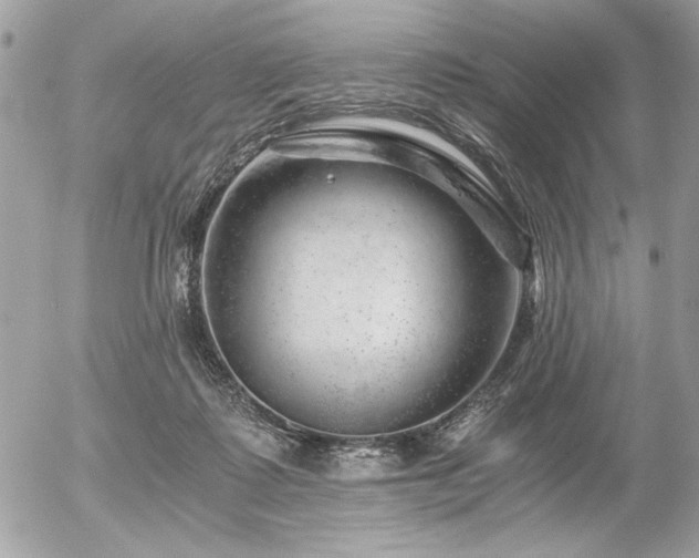 X0000056320315200508261201