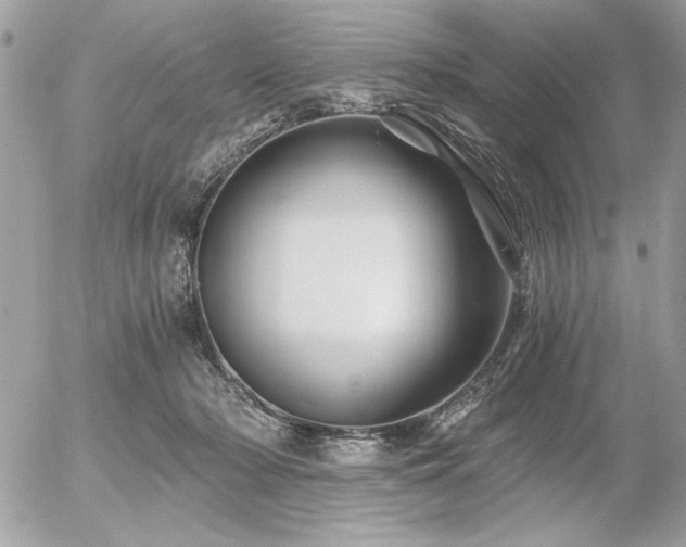 X0000056320318200508261201