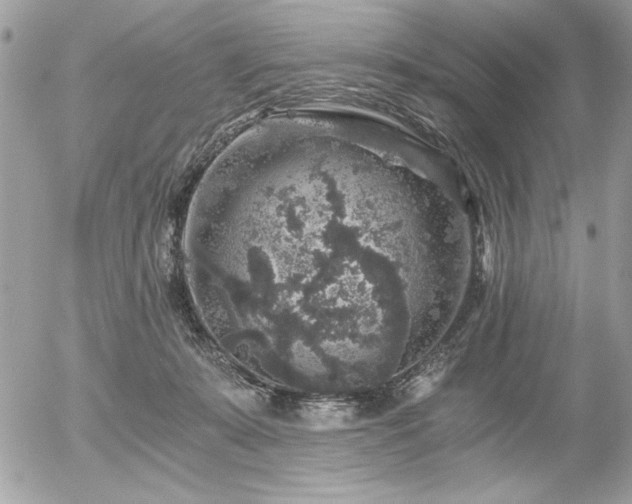 X0000056320319200508261201