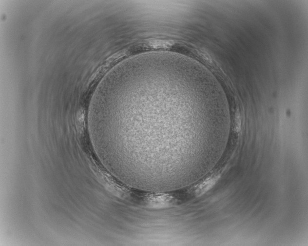 X0000056320321200508261201