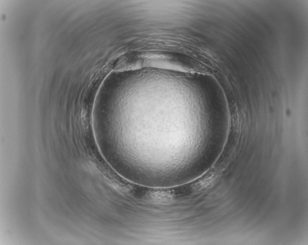 X0000056320327200508261201