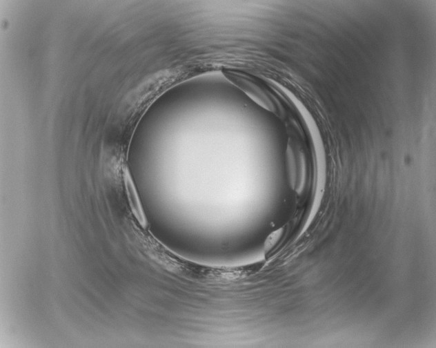 X0000056320329200508261201