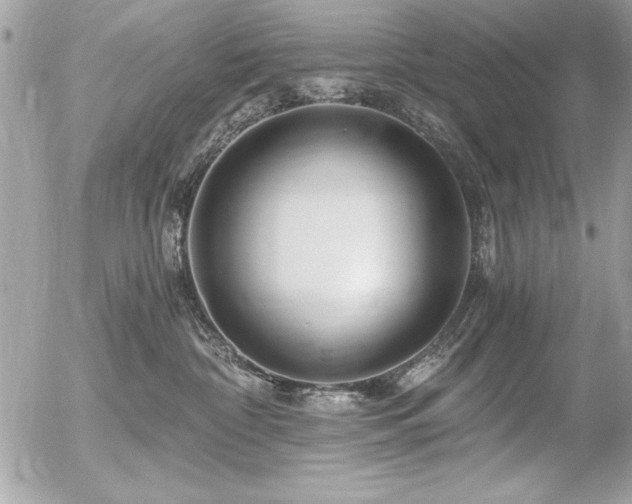 X0000056320332200508261201