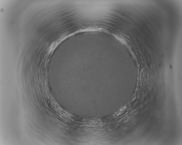 X0000056320337200508261200
