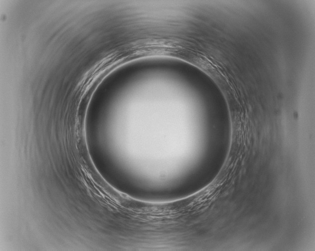 X0000056320338200508261200