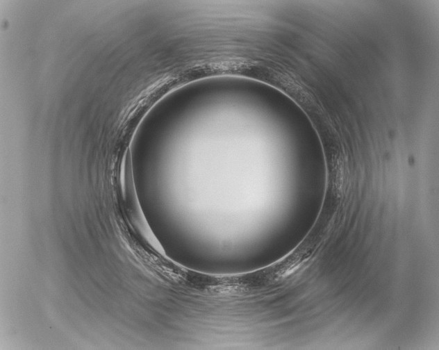 X0000056320356200508261201