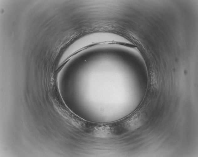 X0000056320362200508261201