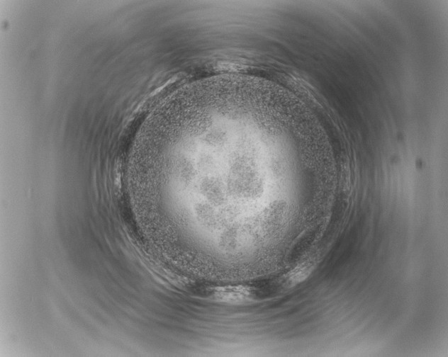 X0000056320363200508261201
