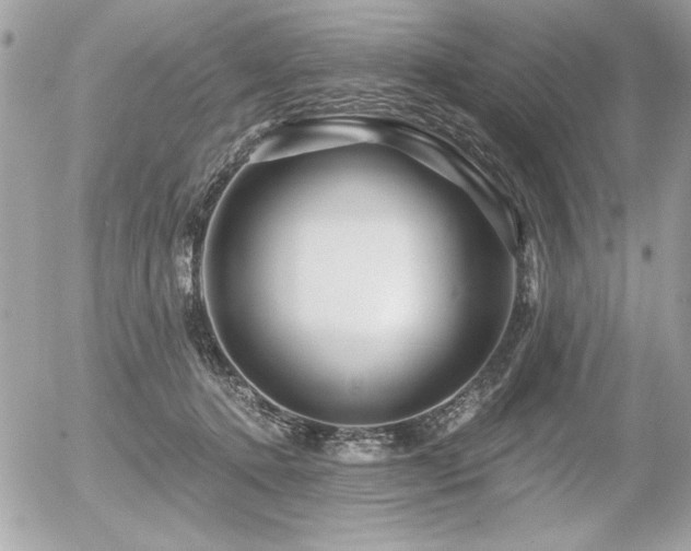 X0000056320368200508261201