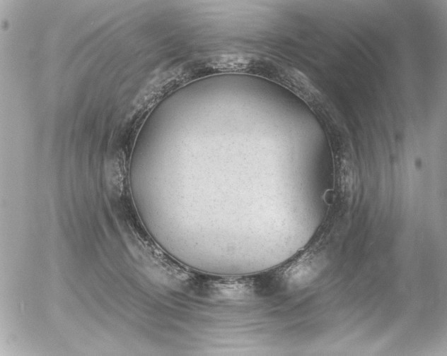 X0000056320370200508261201