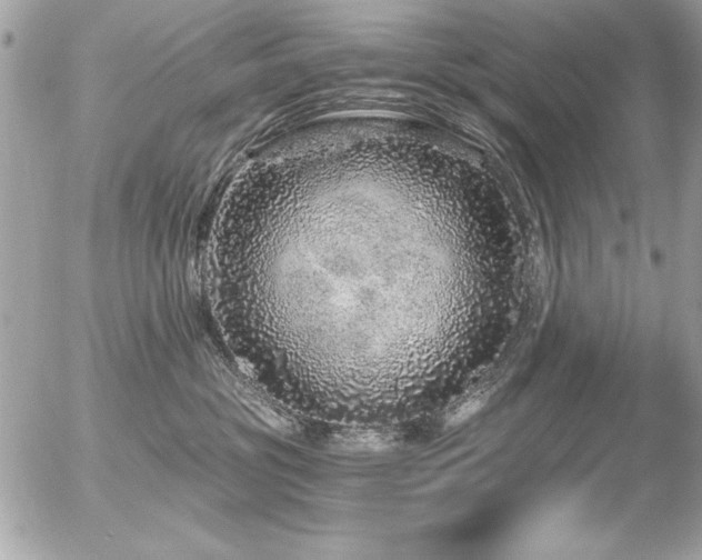 X0000056320381200508261201