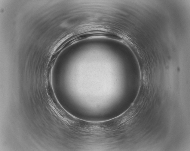 X0000056320390200508261200