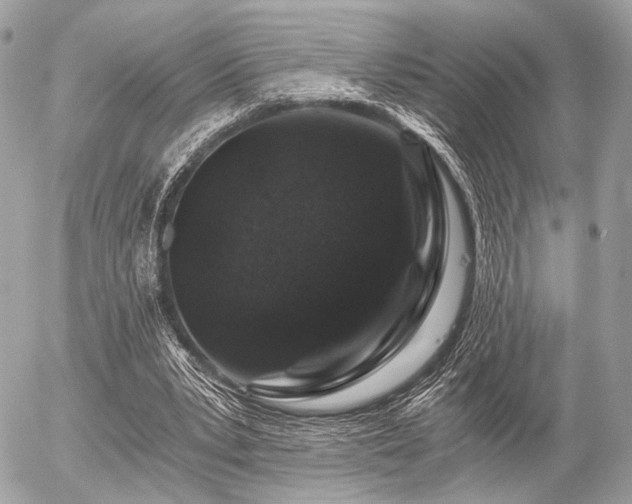 X0000056320391200508261200