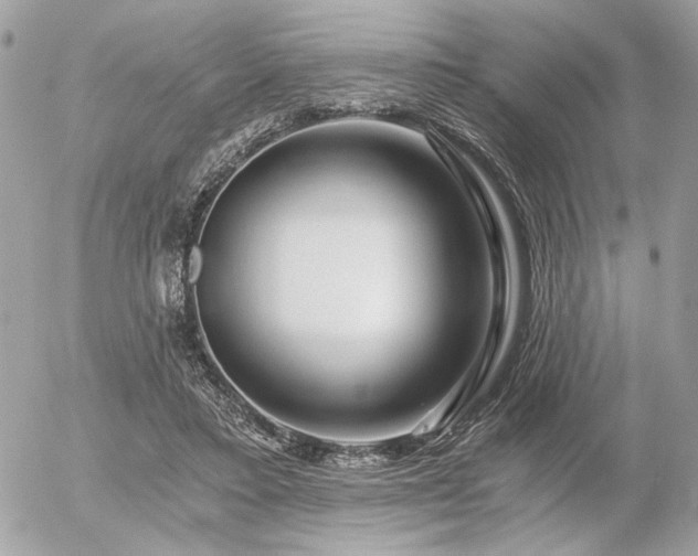 X0000056320403200508261200