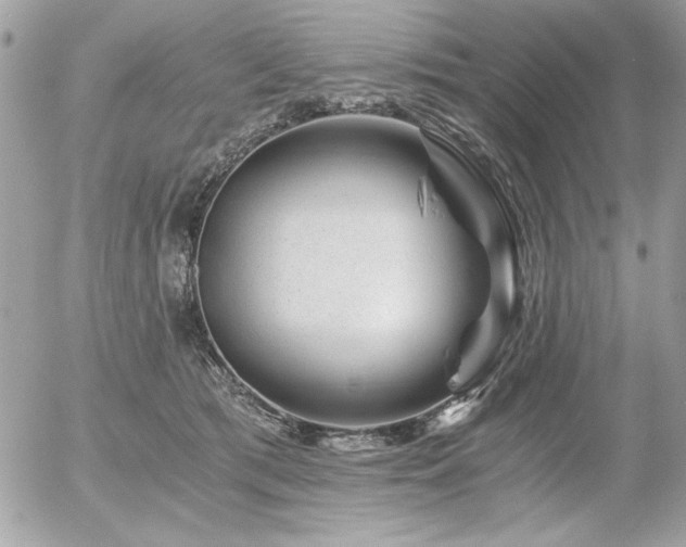 X0000056320417200508261200