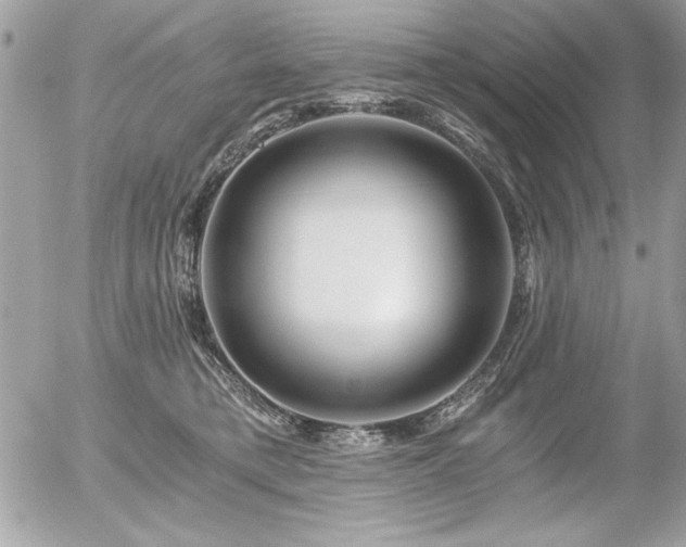 X0000056320421200508261200