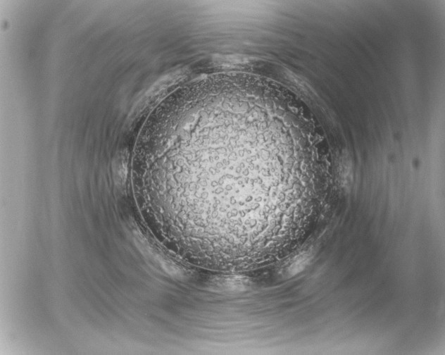 X0000056320427200508261200