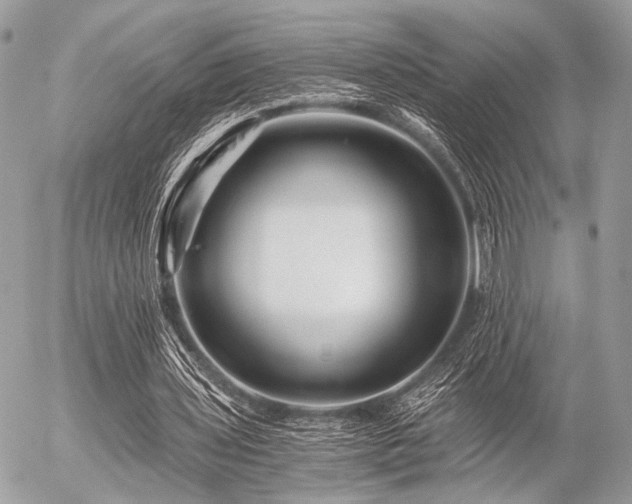 X0000056320435200508261159