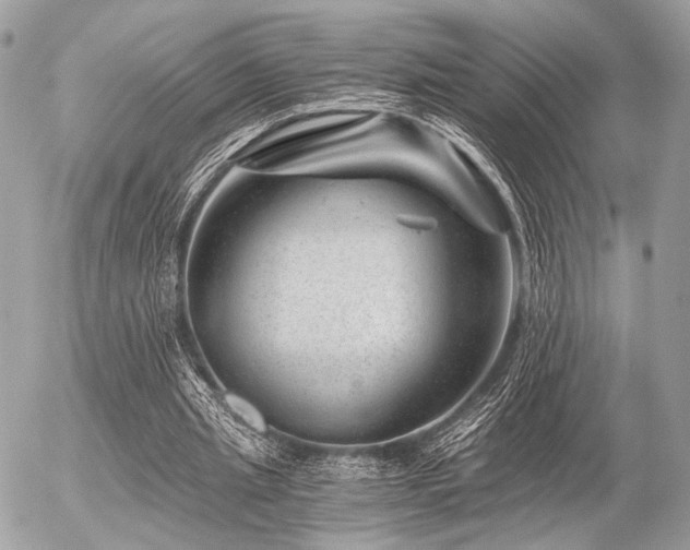 X0000056320437200508261159