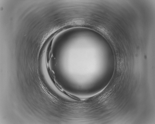 X0000056320439200508261159