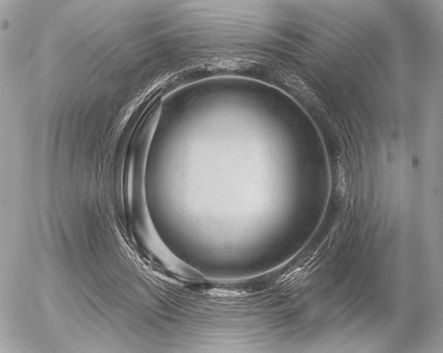 X0000056320444200508261159
