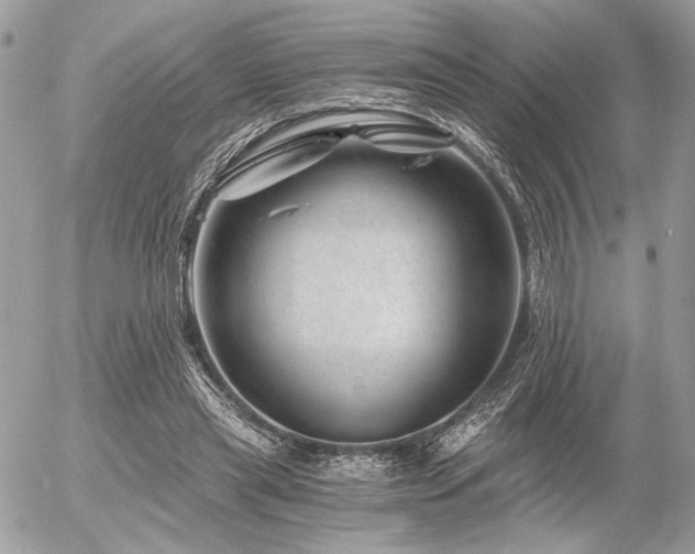 X0000056320445200508261159