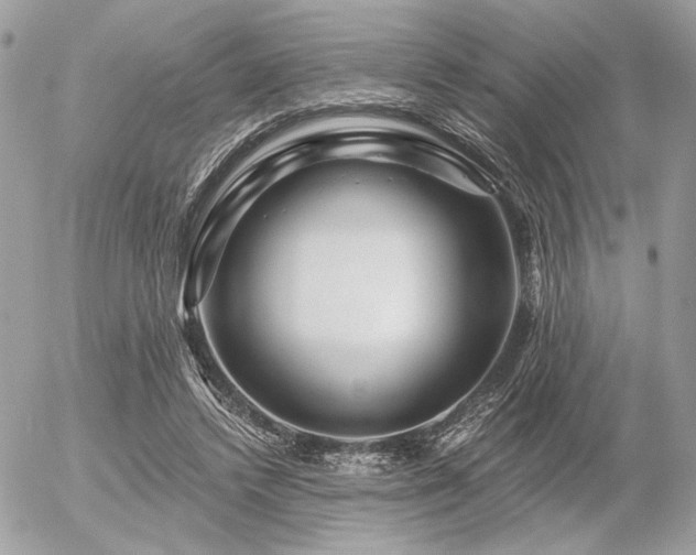 X0000056320448200508261159