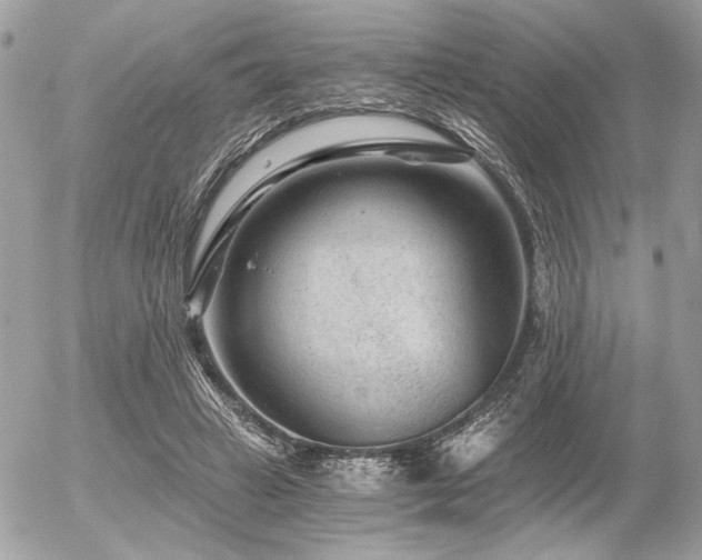 X0000056320449200508261159