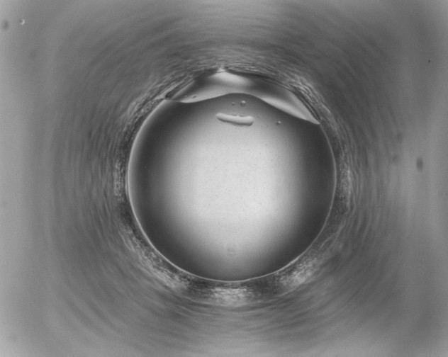 X0000056320457200508261159