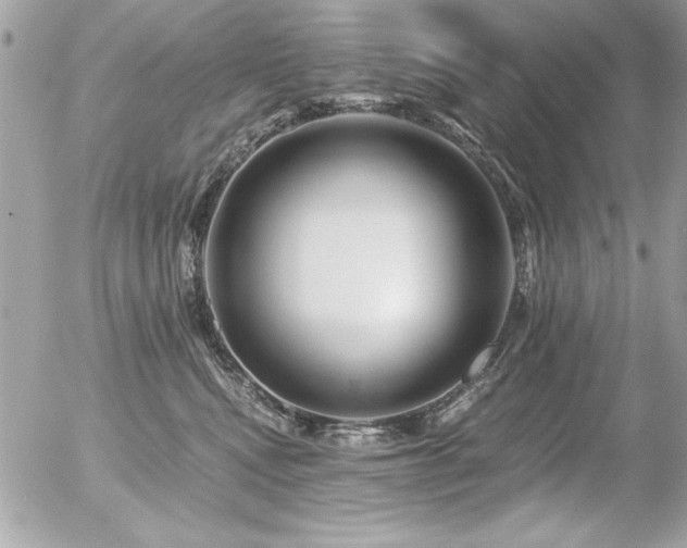 X0000056320472200508261159