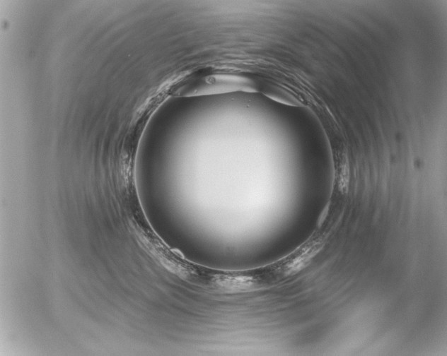 X0000056320476200508261159
