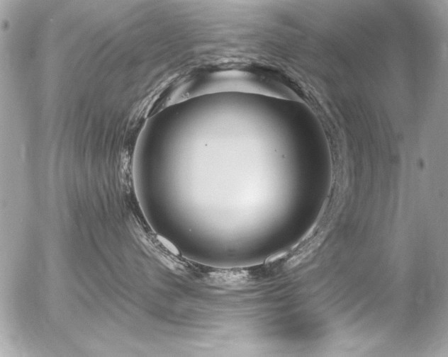 X0000056320480200508261159