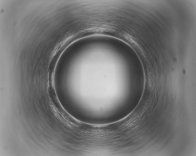 X0000056320486200508261159