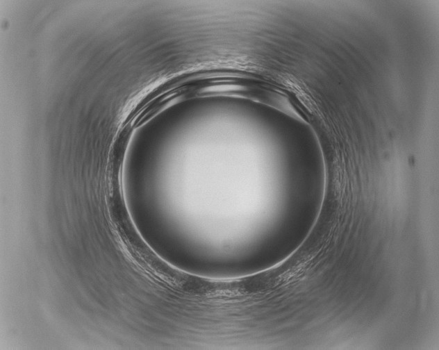 X0000056320536200508261157