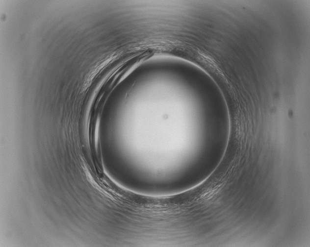 X0000056320538200508261157