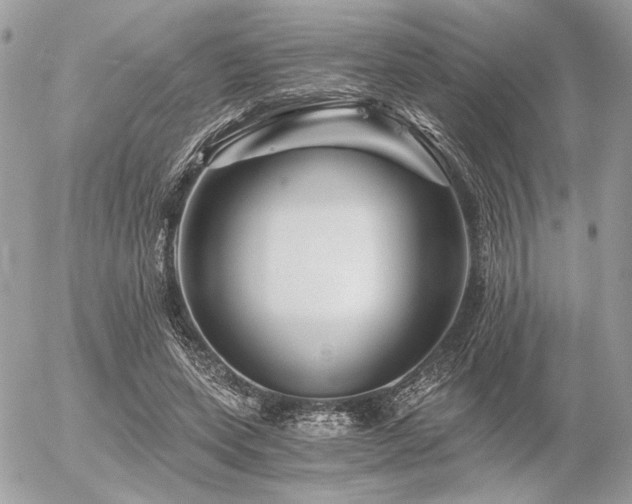X0000056320543200508261157