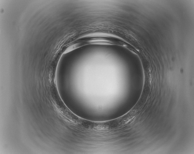 X0000056320546200508261157