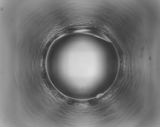 X0000056320548200508261157