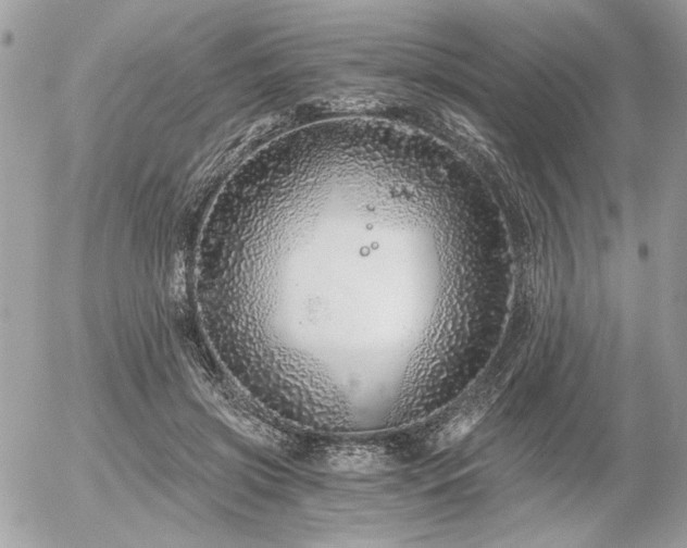 X0000056320549200508261157