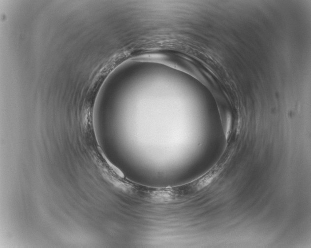 X0000056320574200508261158