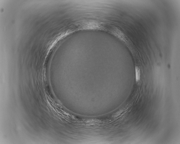 X0000056320579200508261157