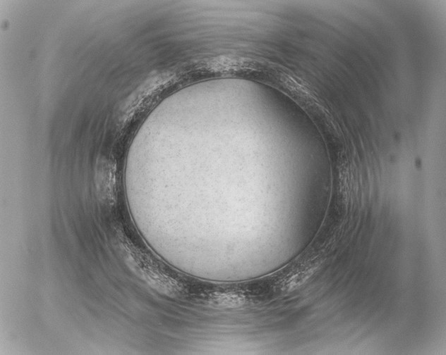 X0000056320592200508261157