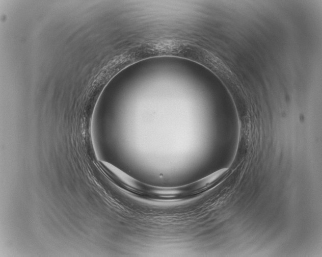 X0000056320593200508261157