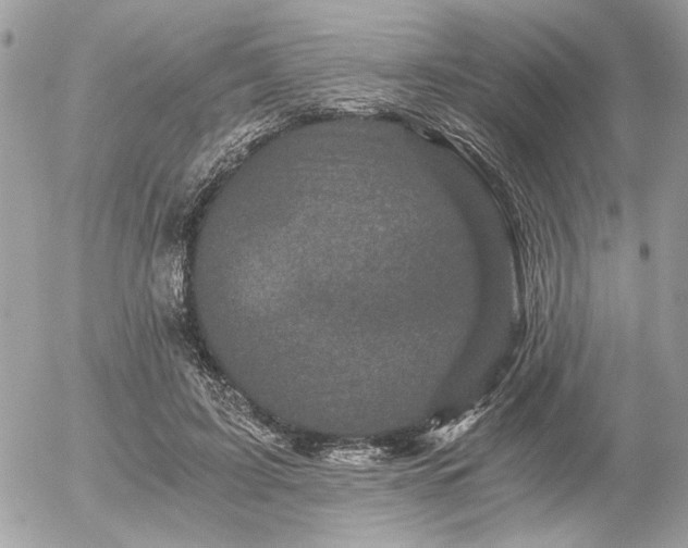 X0000056320595200508261157